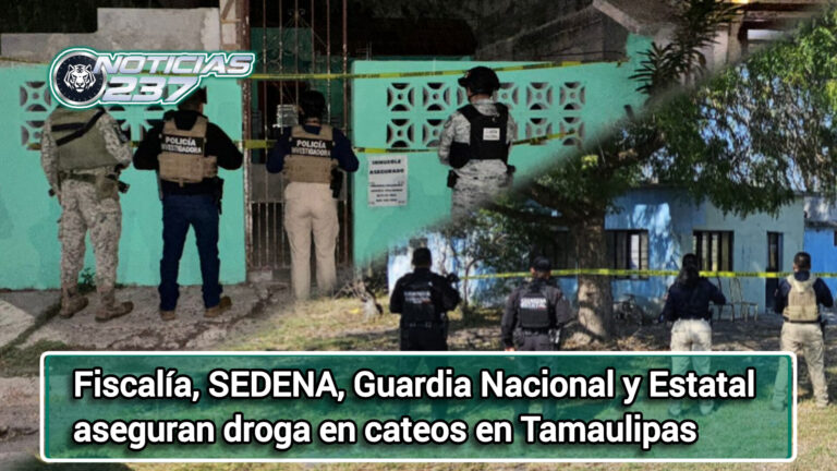 Fiscalía, SEDENA, Guardia Nacional y Estatal aseguran droga en cateos en Tamaulipas